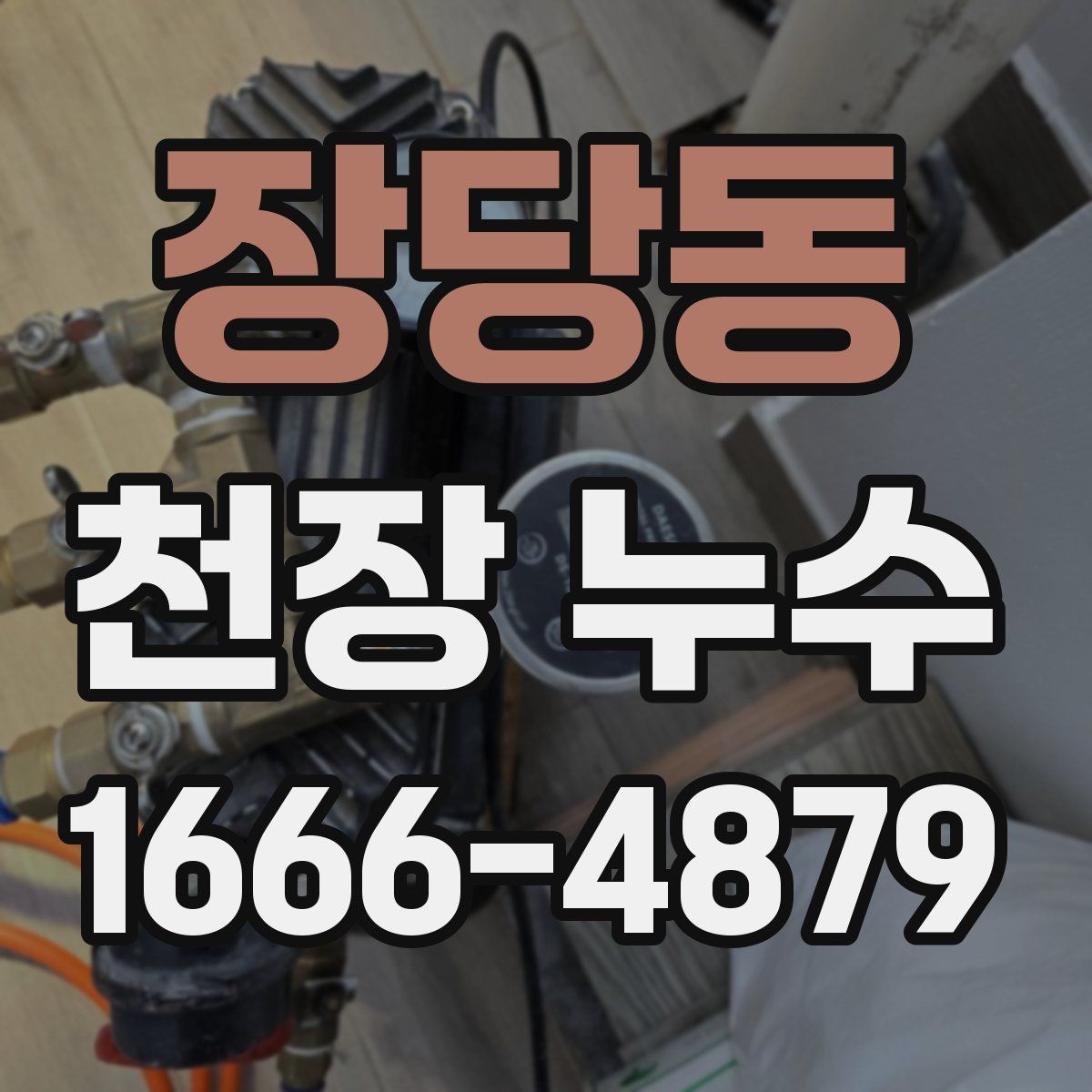 장당동 천장 누수