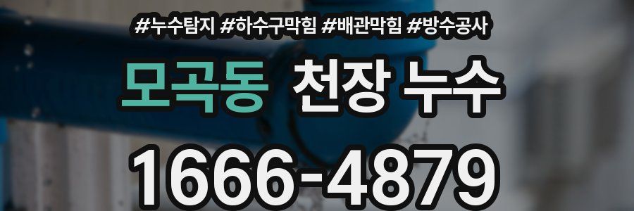 모곡동 천장 누수