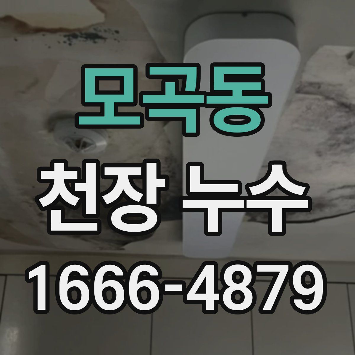 모곡동 천장 누수