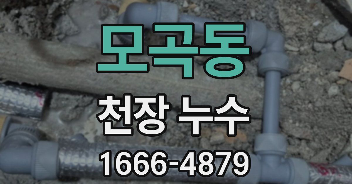모곡동 천장 누수