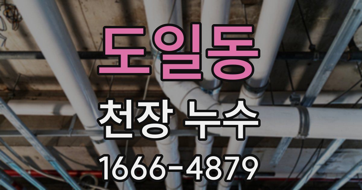 도일동 천장 누수