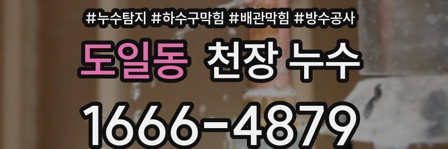 도일동 천장 누수