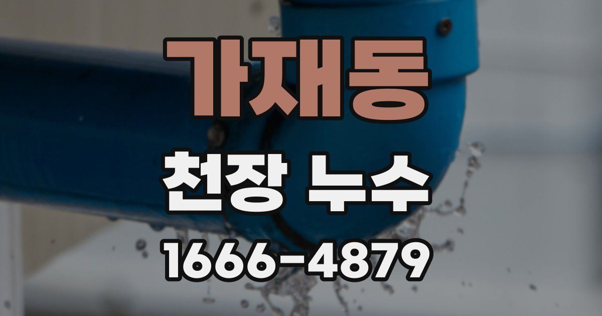 가재동 천장 누수