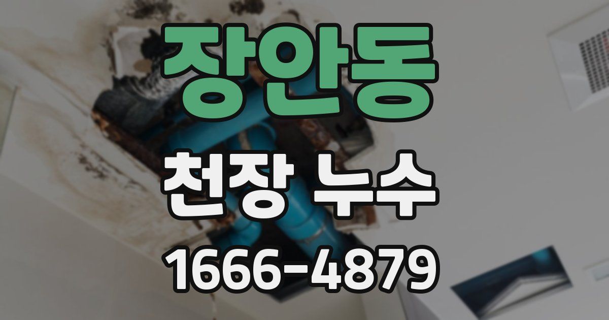장안동 천장 누수