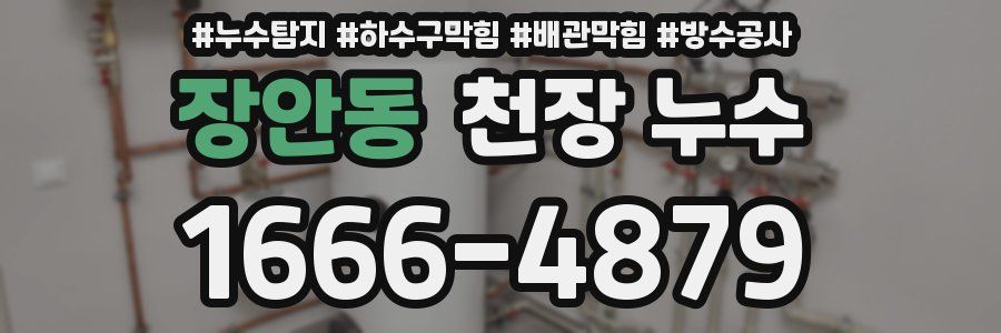 장안동 천장 누수