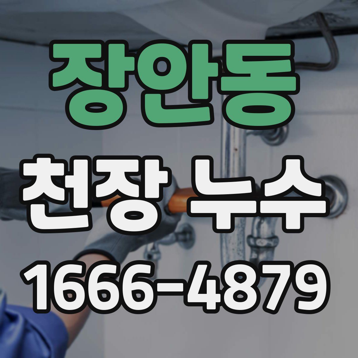 장안동 천장 누수