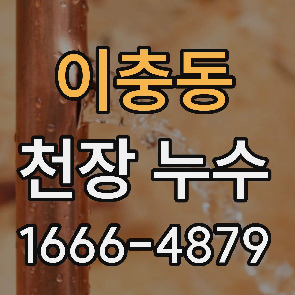 이충동 천장 누수