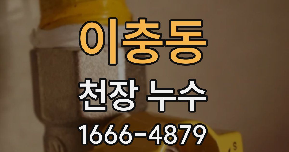 이충동 천장 누수