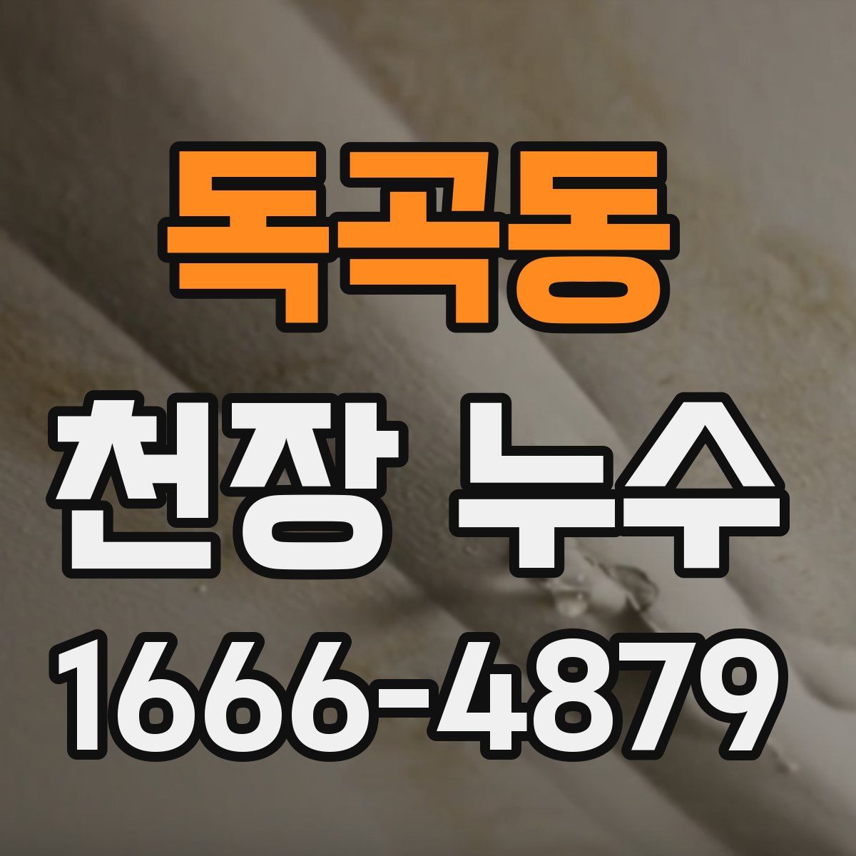 독곡동 천장 누수