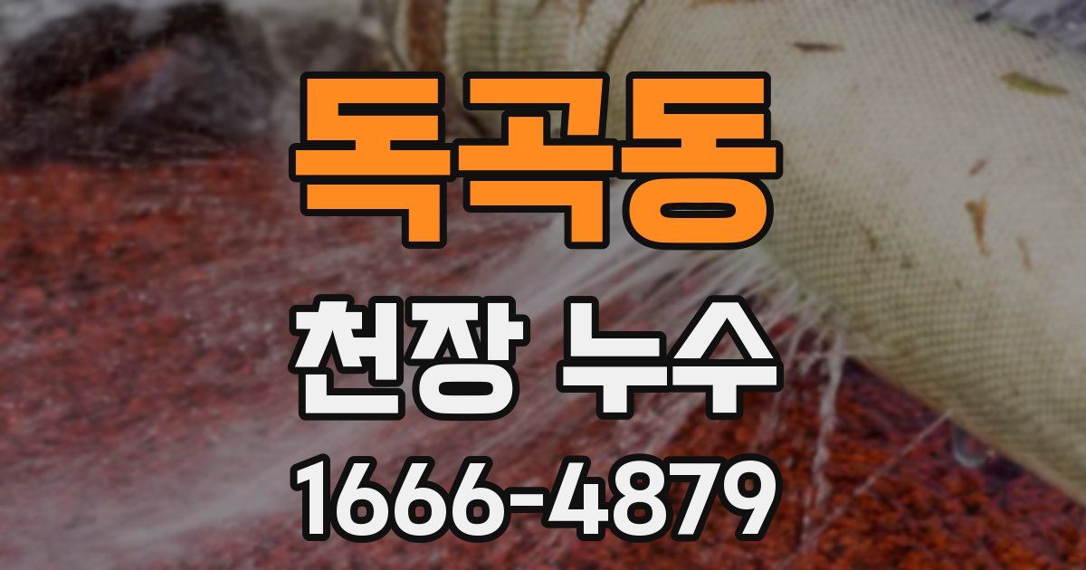 독곡동 천장 누수