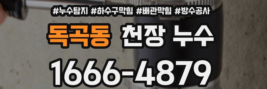 독곡동 천장 누수