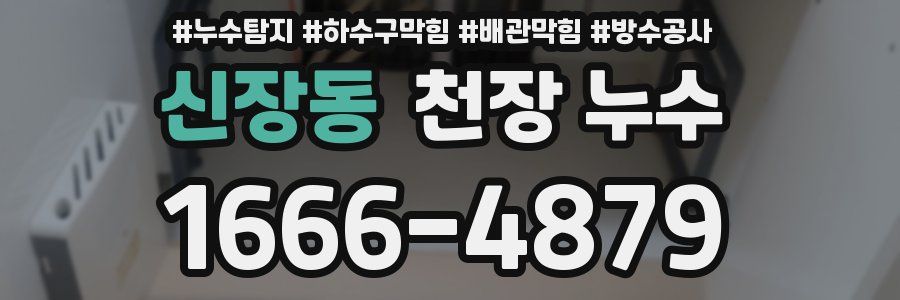 신장동 천장 누수