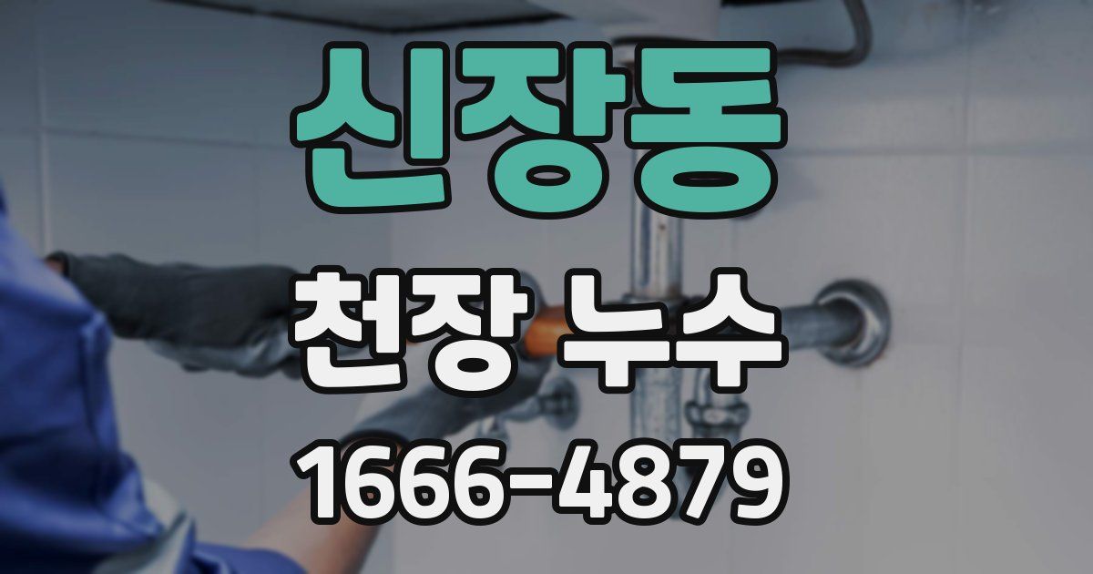신장동 천장 누수