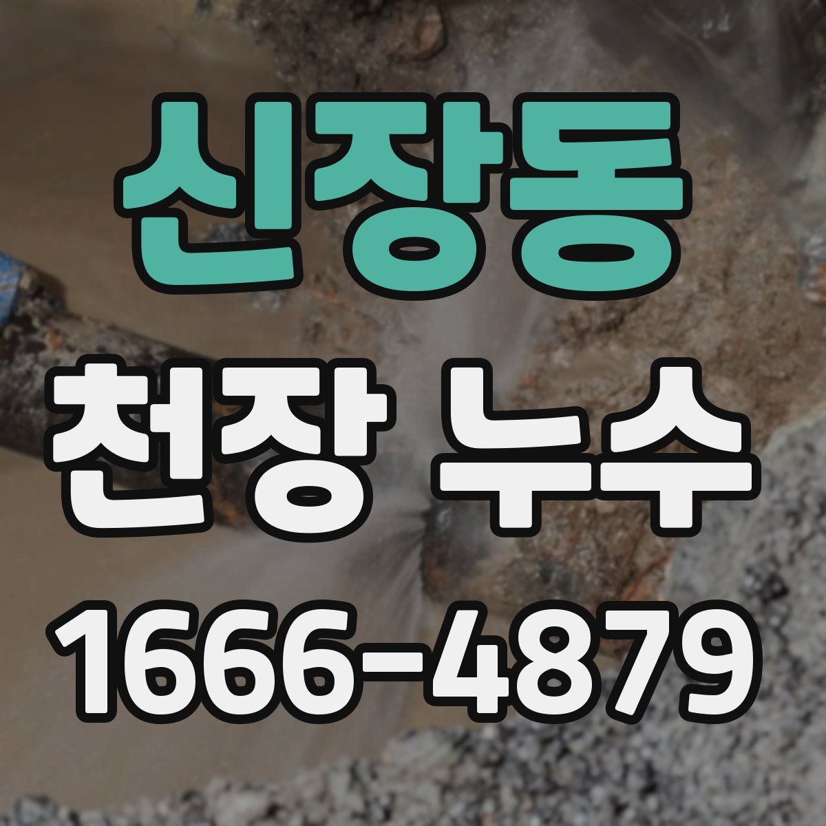 신장동 천장 누수