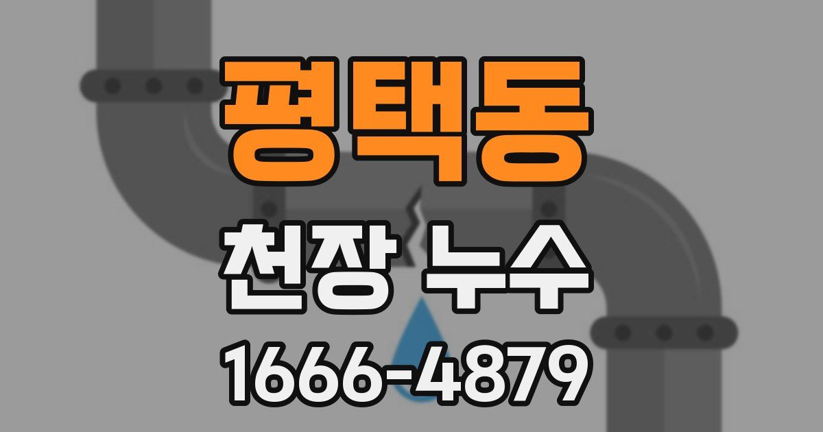평택동 천장 누수