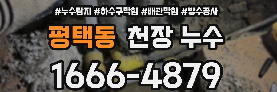 평택동 천장 누수