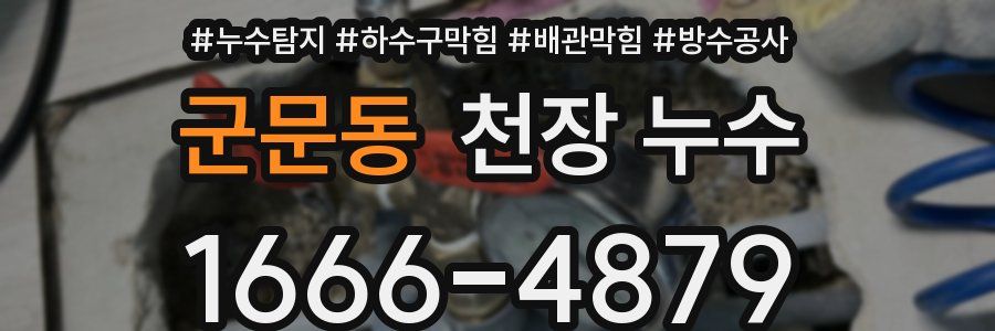 군문동 천장 누수