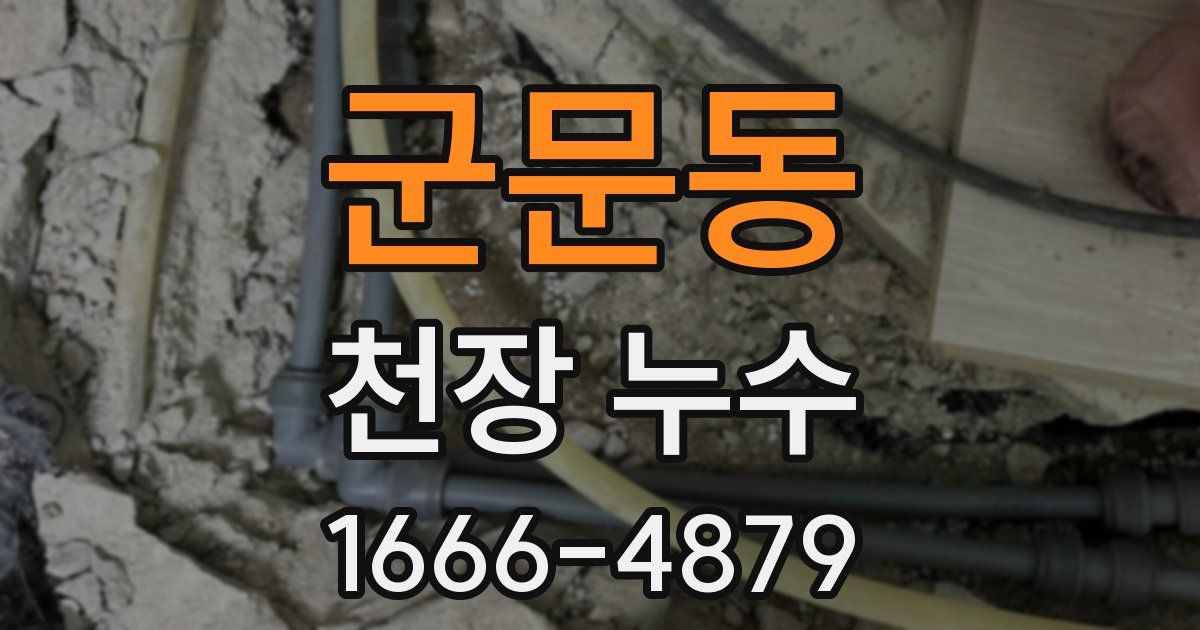 군문동 천장 누수