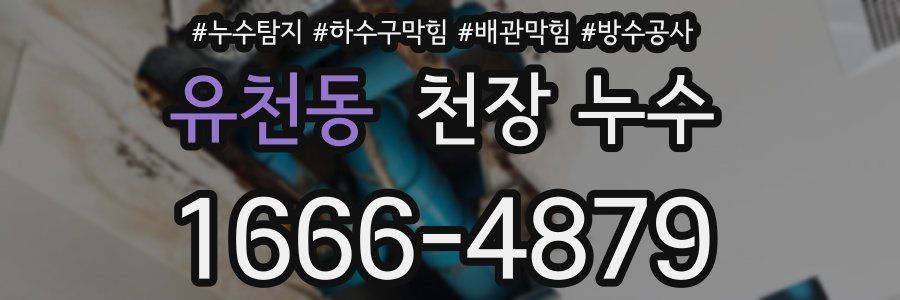 유천동 천장 누수