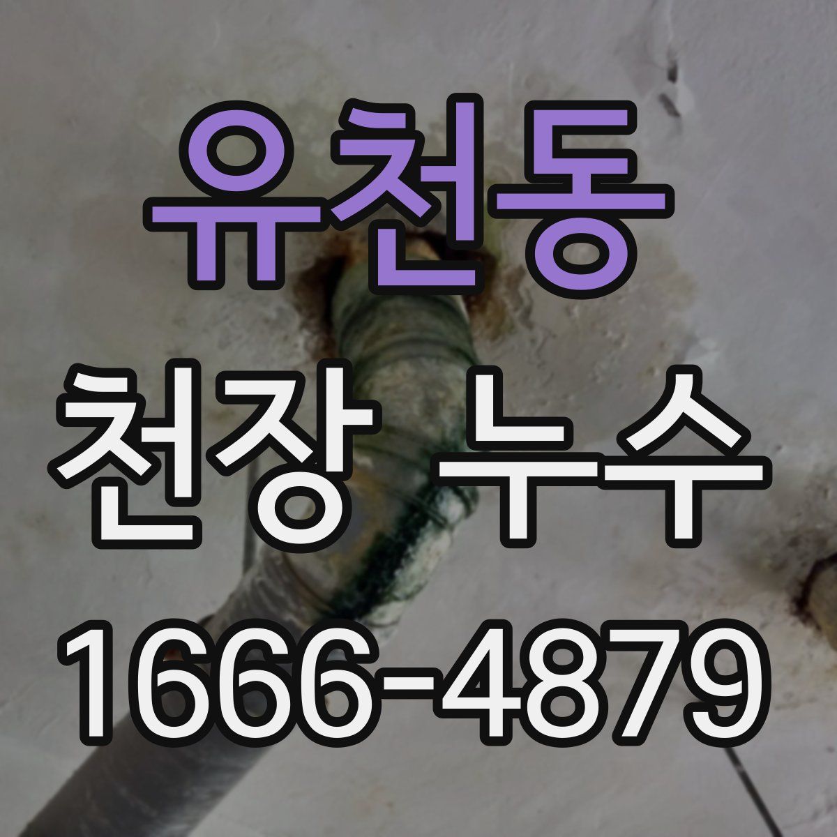 유천동 천장 누수