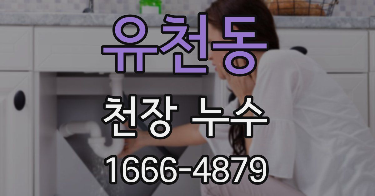 유천동 천장 누수