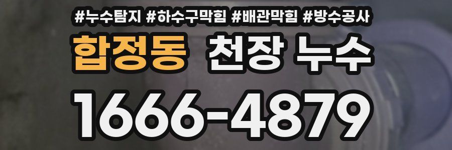 합정동 천장 누수