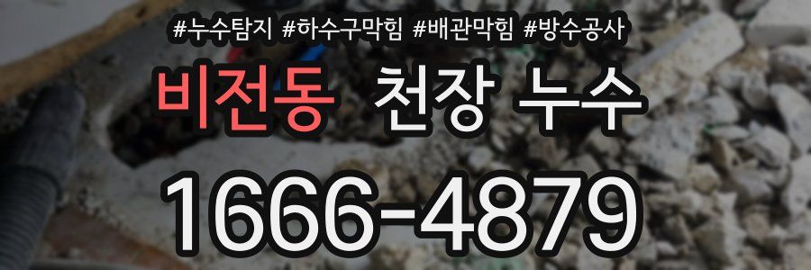 비전동 천장 누수