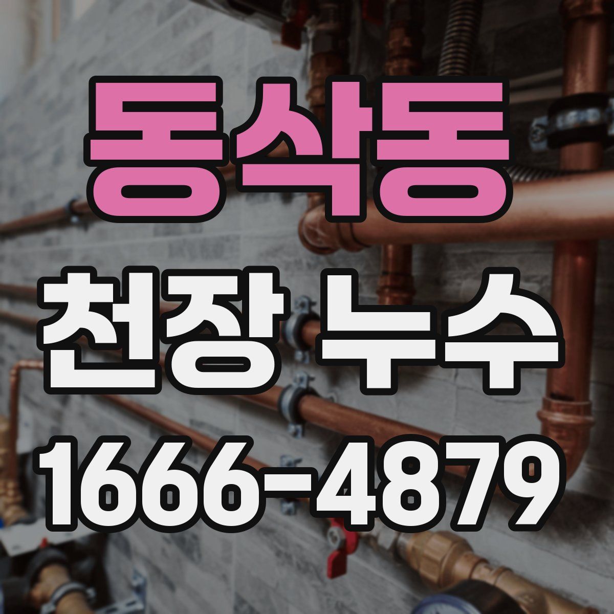 동삭동 천장 누수