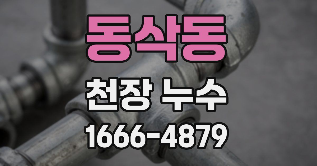 동삭동 천장 누수