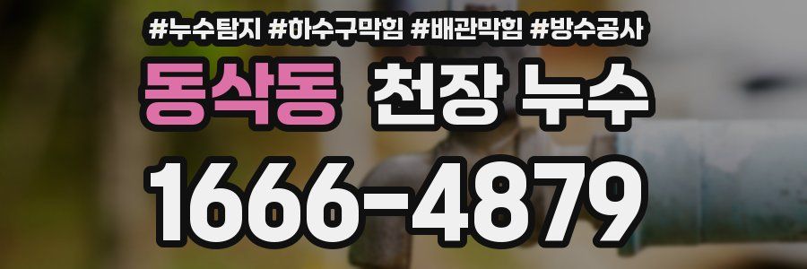 동삭동 천장 누수