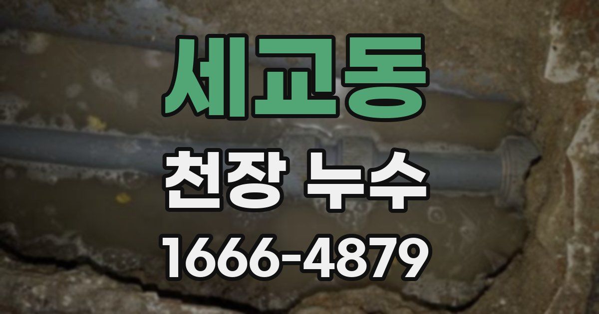 세교동 천장 누수