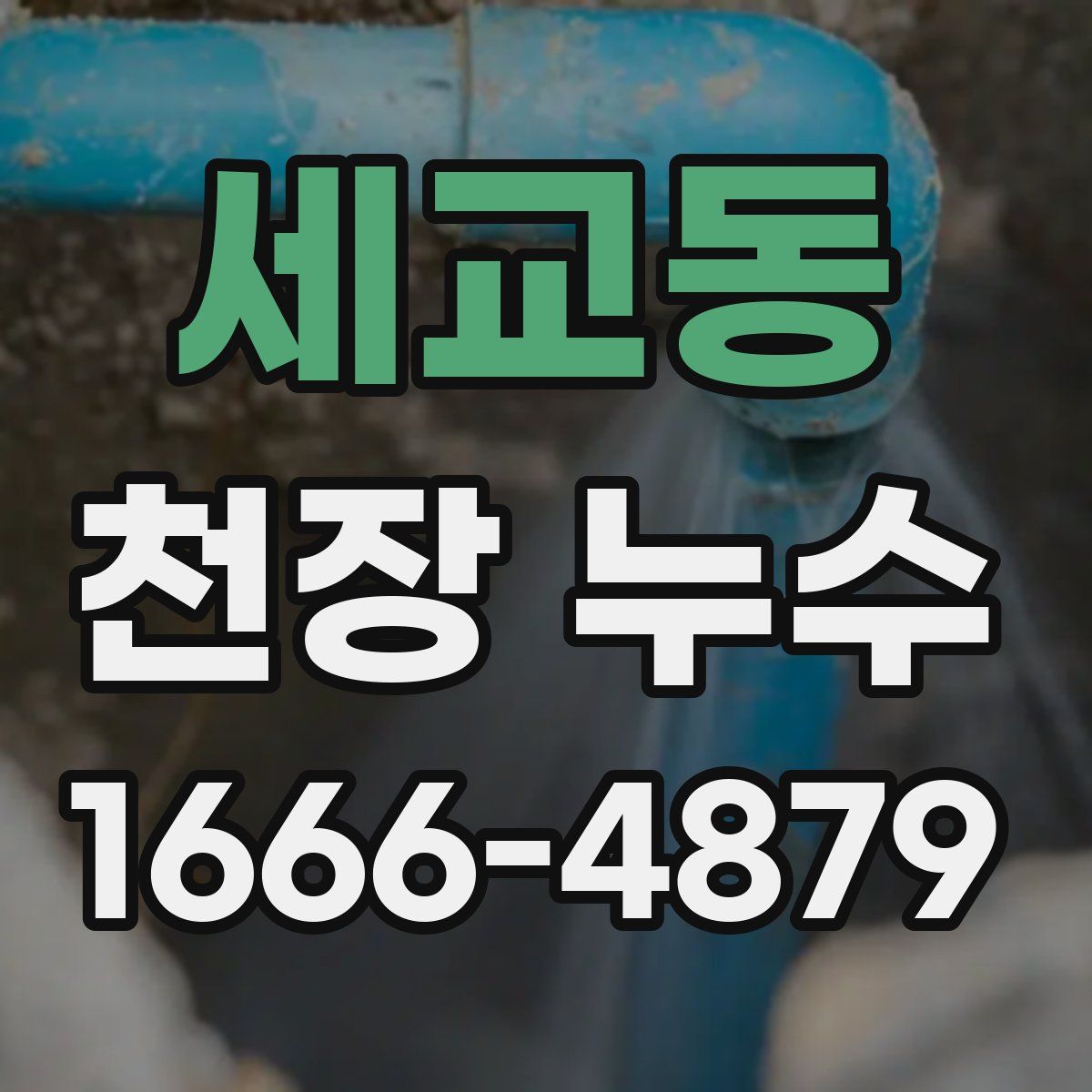 세교동 천장 누수