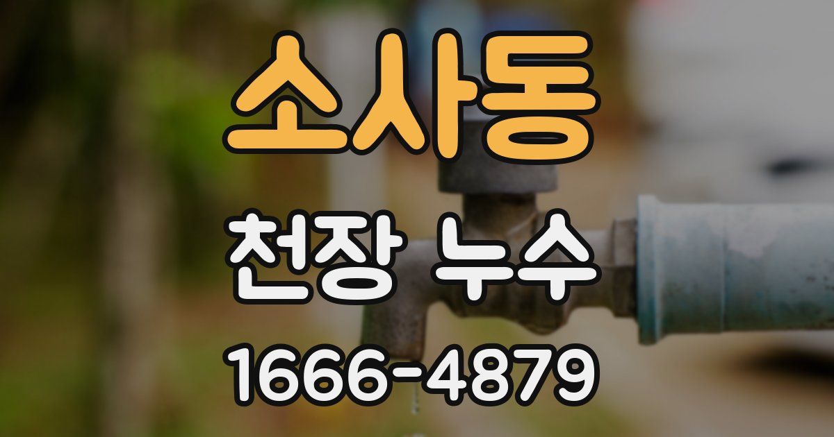 소사동 천장 누수