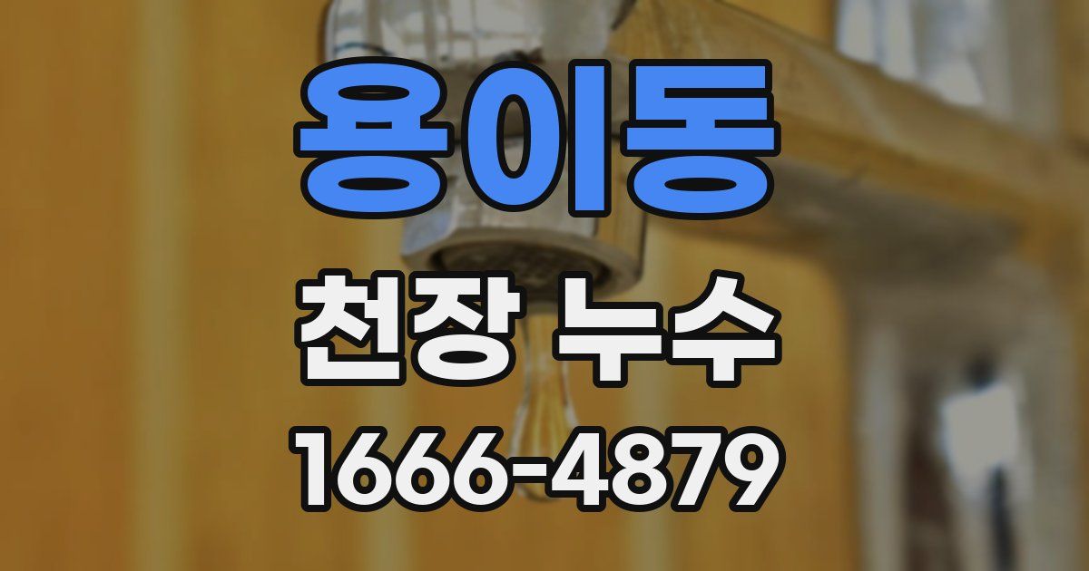 용이동 천장 누수