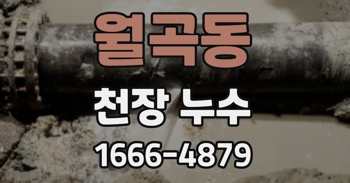 월곡동 천장 누수