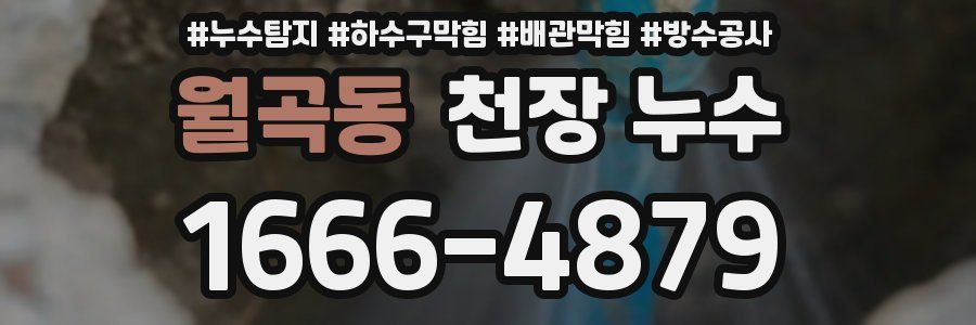 월곡동 천장 누수