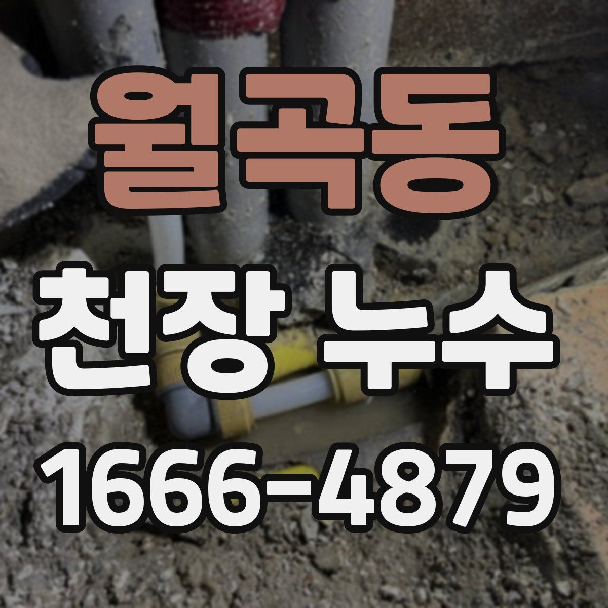 월곡동 천장 누수