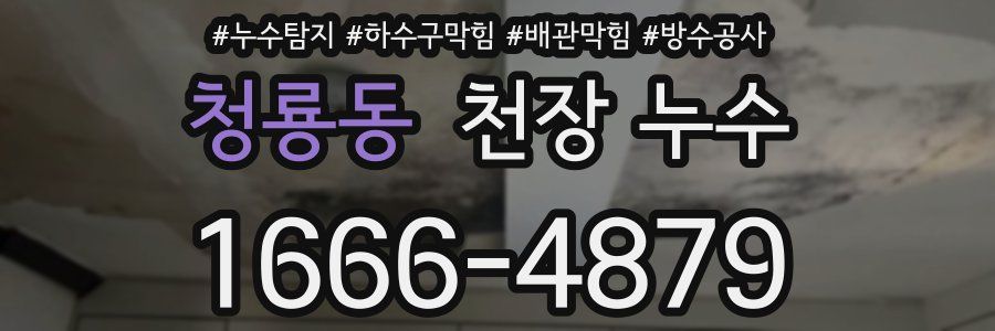 청룡동 천장 누수