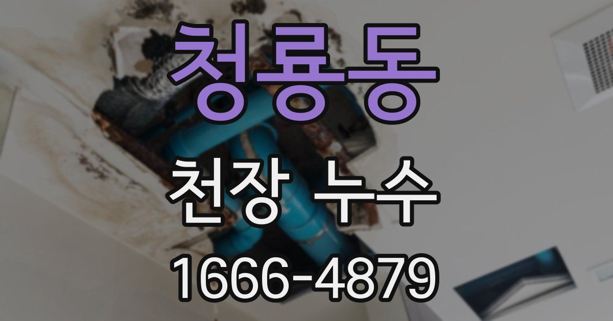 청룡동 천장 누수