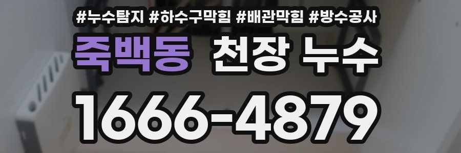 죽백동 천장 누수
