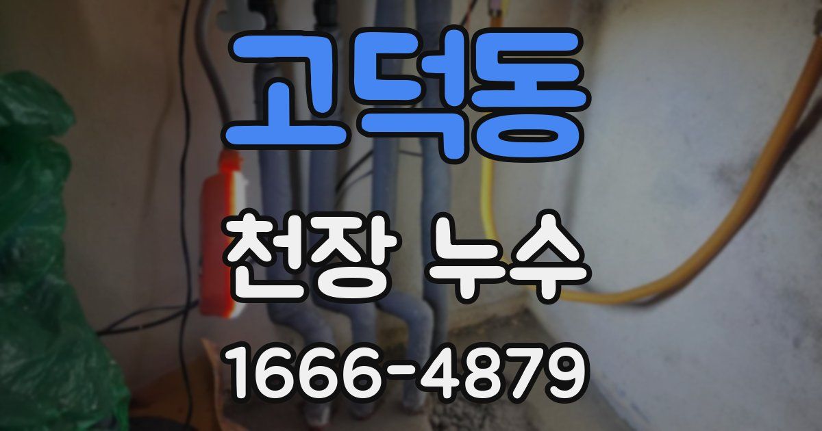 고덕동 천장 누수