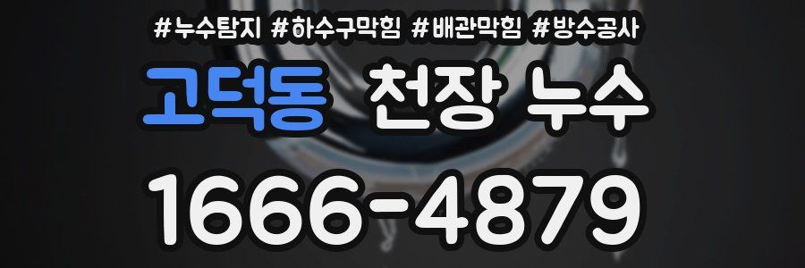 고덕동 천장 누수