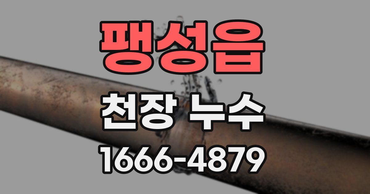 팽성읍 천장 누수
