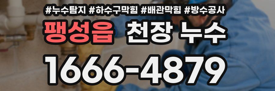 팽성읍 천장 누수