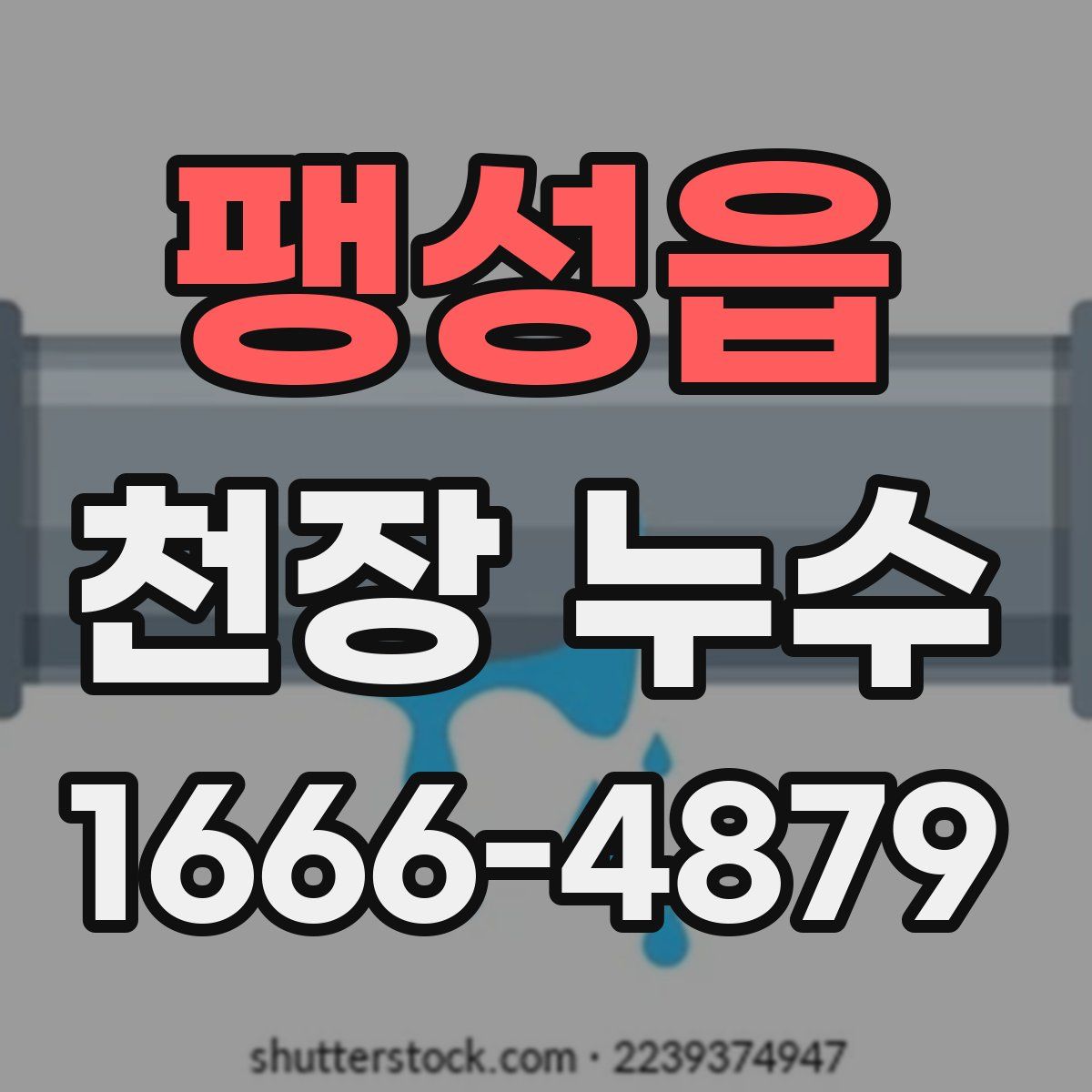 팽성읍 천장 누수