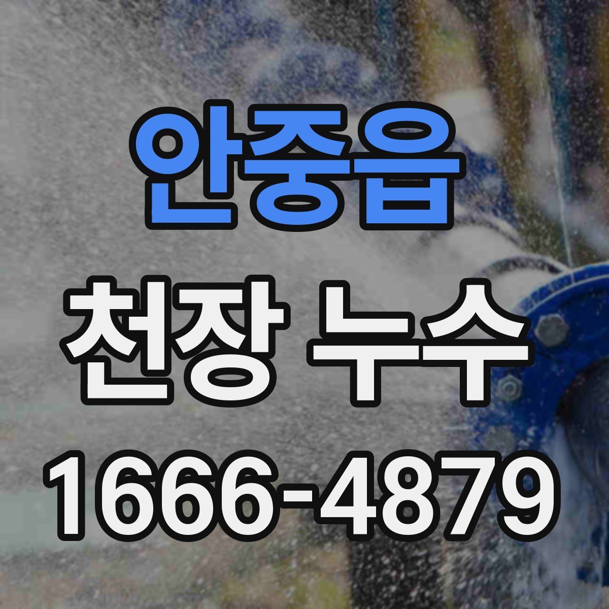 안중읍 천장 누수