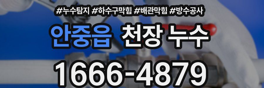안중읍 천장 누수