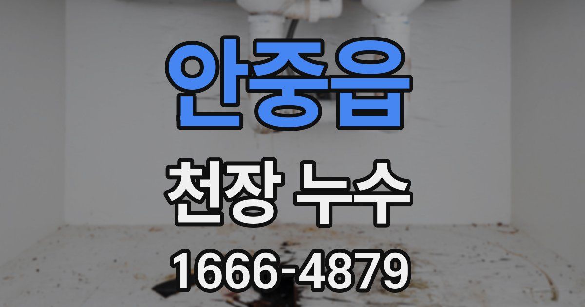 안중읍 천장 누수