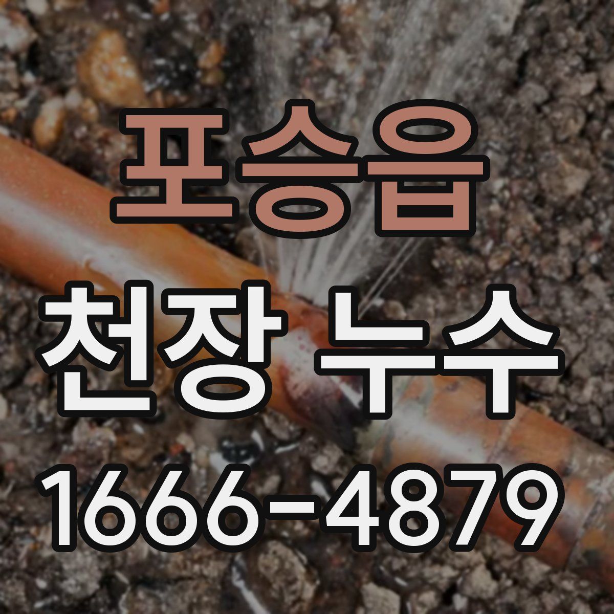 포승읍 천장 누수