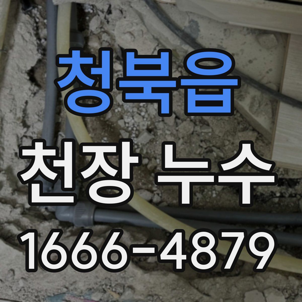 청북읍 천장 누수